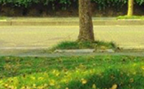 2025年祝好心情的早安问候语汇编56条