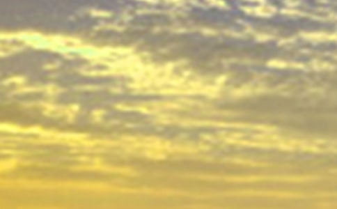 有关动人的早安问候语短信(精选300句)