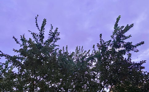 【精华】2025年祝好心情的早安朋友圈问候语汇编63句