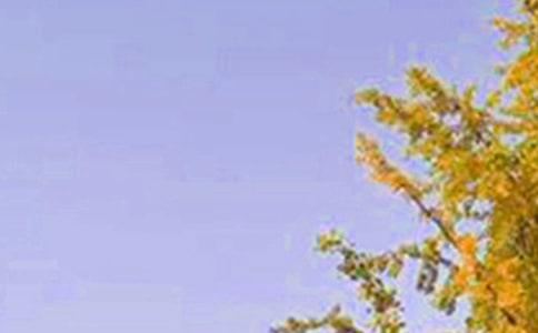 有关每日一句早安微信问候语45句