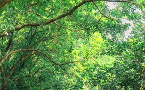 经典的早安问候语