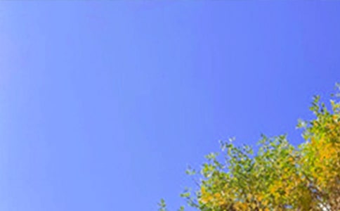 ʵ�õ��°��簲�ʺ���29��