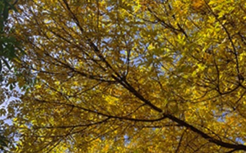 【必备】2025年早安朋友圈问候语21条