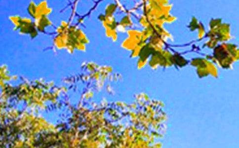 2025年有关适合给朋友的早安问候语语录25条