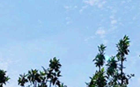 常用温馨的早安问候语汇总51条