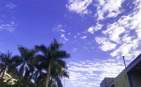 【实用】早安问候语语录53句