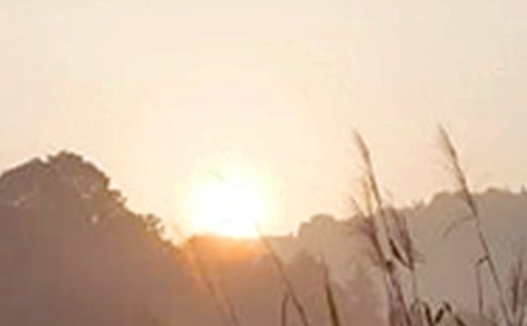 实用的新版早安问候语汇编59条