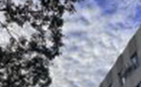 简单的治愈系早安朋友圈问候语集合55句