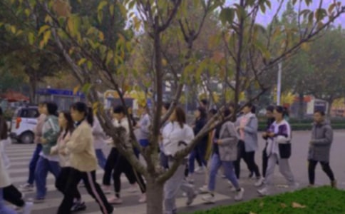 ����ټ�����