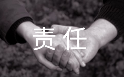 责任担当心得体会