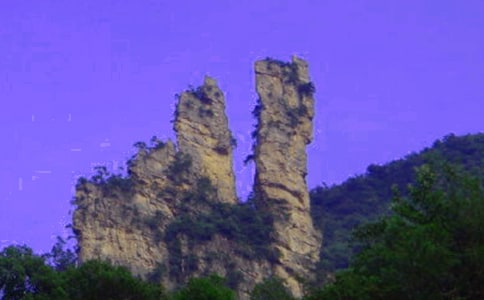 ʵ�õ��żҽ�Сѧ����8ƪ