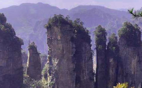 �����żҽ�Сѧ����9ƪ