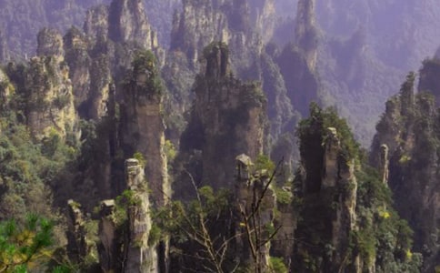 张家界小学作文300字5篇