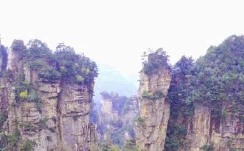 张家界小学作文300字4篇