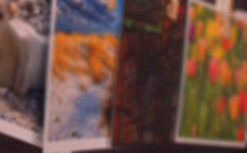 照片留住美好瞬间句子