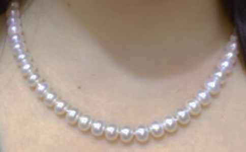 《黑珍珠》读后感