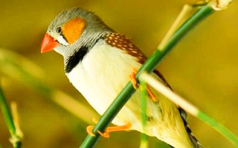 �������񡷽�ѧ��˼����15ƪ