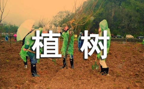 《植树的牧羊人》读后感