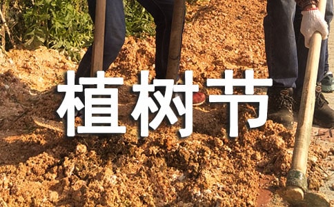 植树节小学作文范文