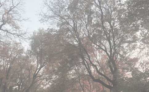 �й�ֲ��԰�ռ�4ƪ