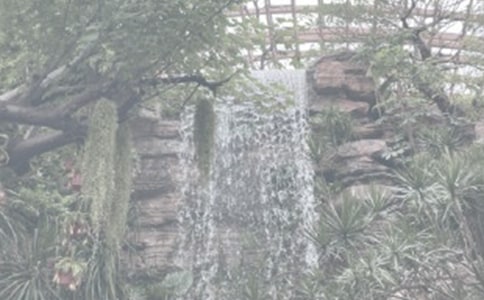 ����ֲ��԰�ռǼ���6ƪ