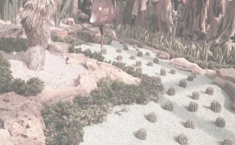 �й�ֲ��԰�ռǽ�����ƪ