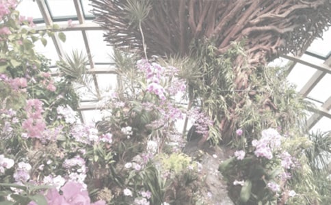 ֲ��԰�ռǷ��Ľ���6ƪ