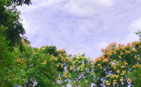 ����õ��ʺ���