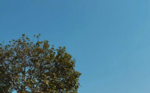 中午好问候语【合集5篇】