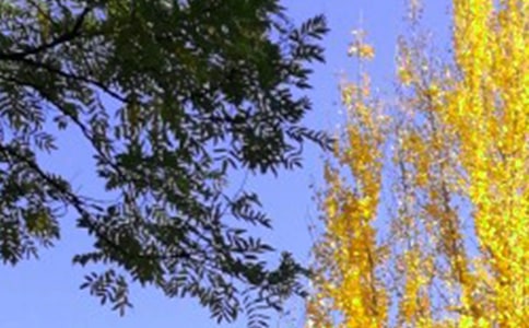 ��ĩ�����ʺ����ѡ230�䣩