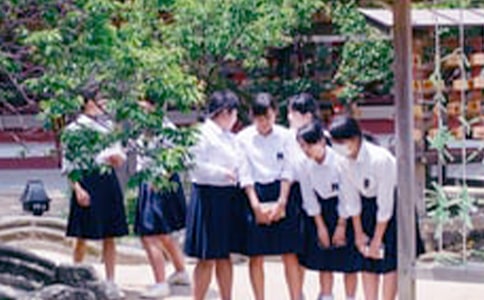 ��ѧ����һ������7ƪ