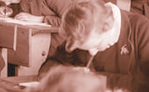 ��ѡ��ѧ����һ�����Ļ��ܰ�ƪ