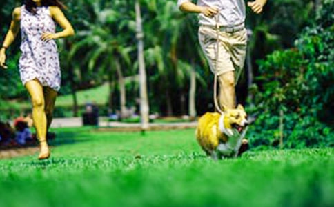 有关周末日记模板集锦九篇