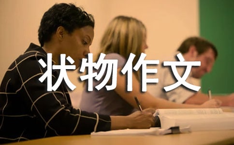 �������꼶״������300�ּ�����ƪ