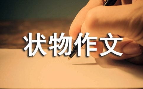 关于三年级状物作文汇编5篇