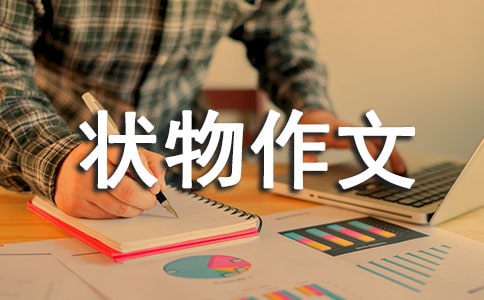 �������״������