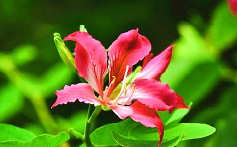 ��д�Ͼ�������������