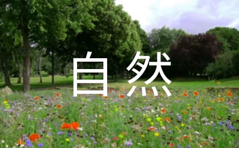 自然之道读后感(15篇)