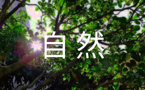 ���꼶��������Ȼ��¶����(��)