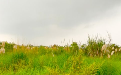 �߽���г�Ĵ�������ʵ�á�7ƪ��