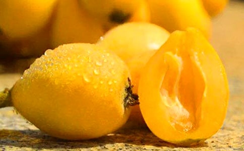 枇杷树小学作文