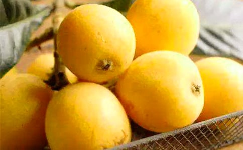 ����Сѧ����