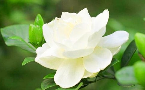 ���ӻ������վ���