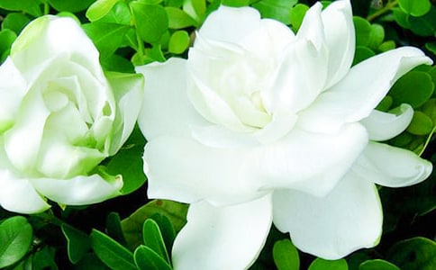 ��д���ӻ����ľ���