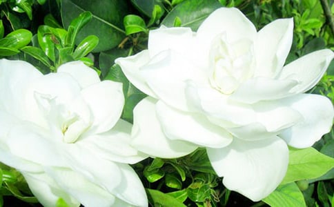 ���ӻ��ռ�