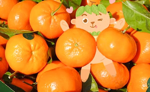 小学生描写橘子的作文