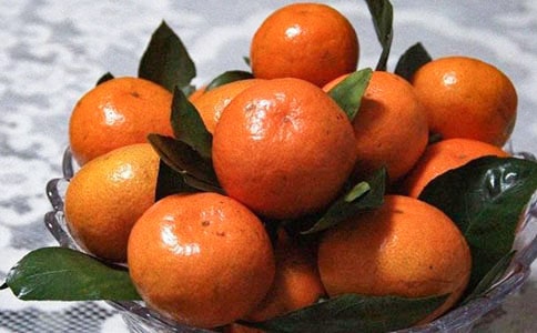 橘子味的夏天读后感13篇