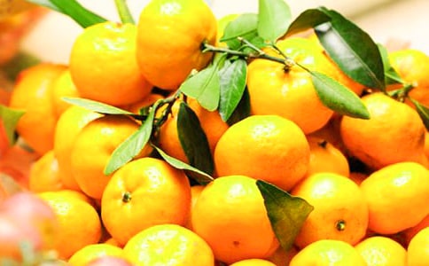 橘子味的夏天读后感(15篇)