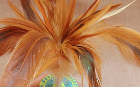 ��ѧ���������������ܽ�