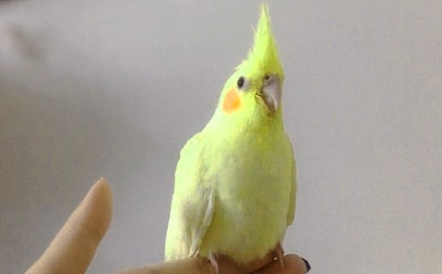 �����ġ����ӡ����ռǡ������